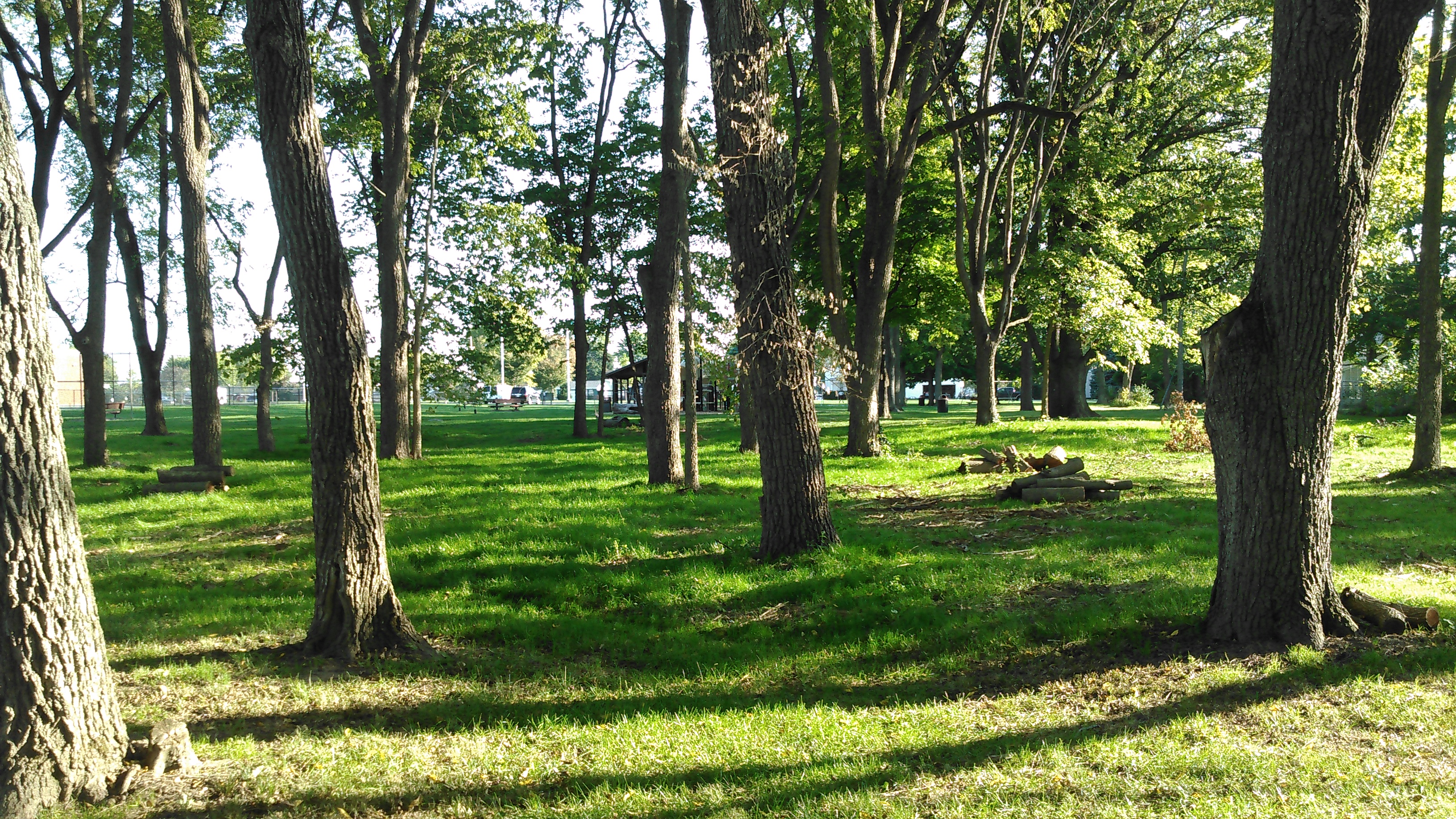 Troy, Ohio herbicide application