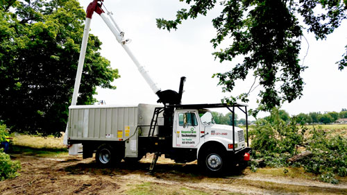 Tree Trimming in Troy, Ohio